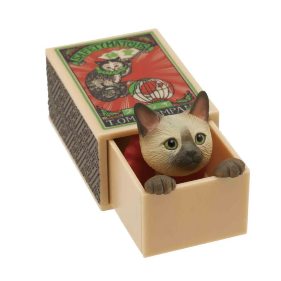 Cat Peek Matchbox Blind Box - Image 5